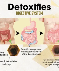 AQA™ Stomach Relief Oil