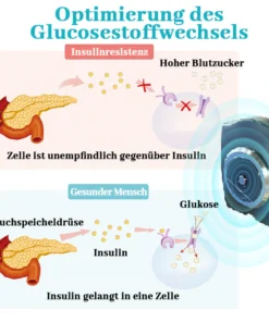 Biancat™ GylcoNova Elektrisches Pulsgerät