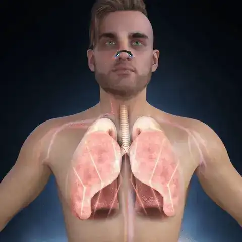 DOCTIA™ Magnetic Deep Lung Cleansing Nasal Dilator