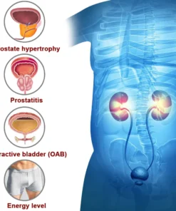 DiSyan® Magnetic hematite bracelet