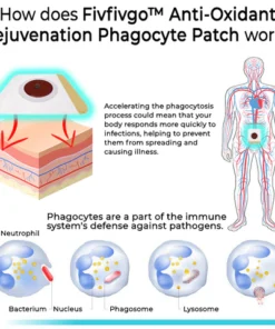 Fivfivgo™ Anti-Oxidationsmittel-Verjüngungs-Phagozyten-Pflaster