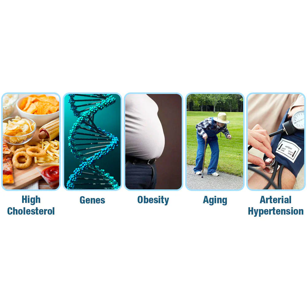 Fivfivgo™ Elektrisches Impulsgerät GlycoWave - Image 7