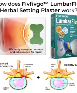 Fivfivgo™ LumbarFlex Kräuterpflaster