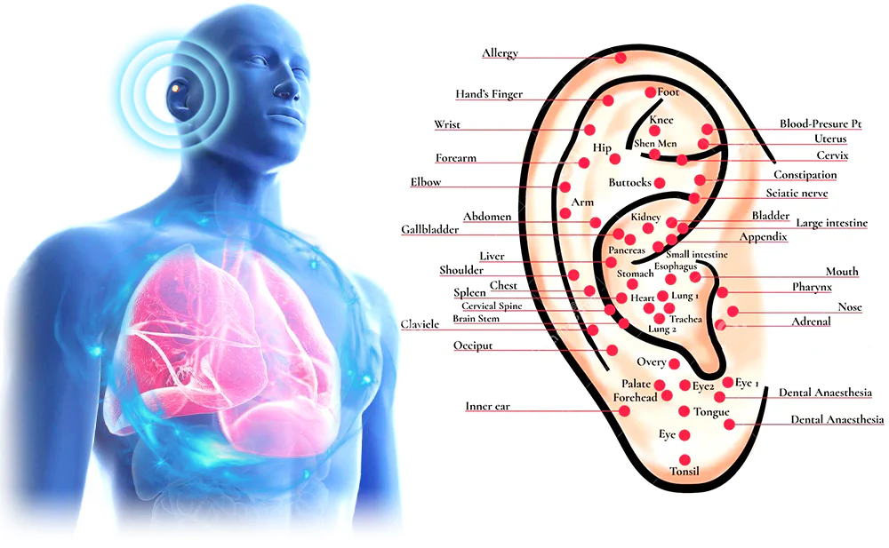 Futusly™ 7-Days Anti-Smoking Magnet