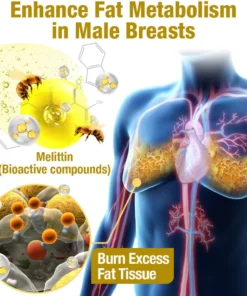 زيت التدفئة GFOUK™ MenTherm Bee Venom Gynecomastia