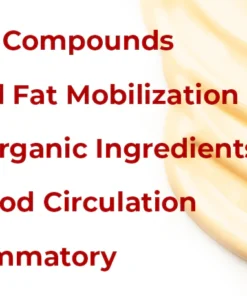 GFOUK™ Bee Venom Heat Sculpt Anti-Schwellung Crème