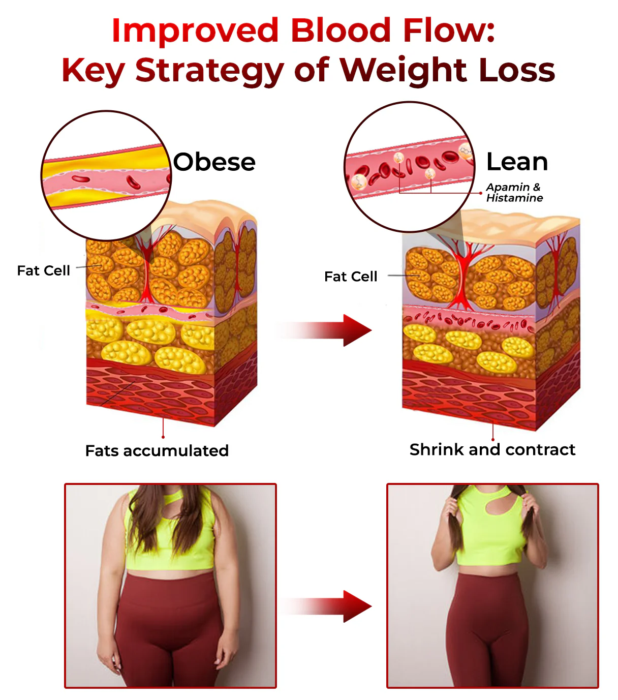 GFOUK™ Bee Venom Heat Sculpt Anti-Schwellung Crème