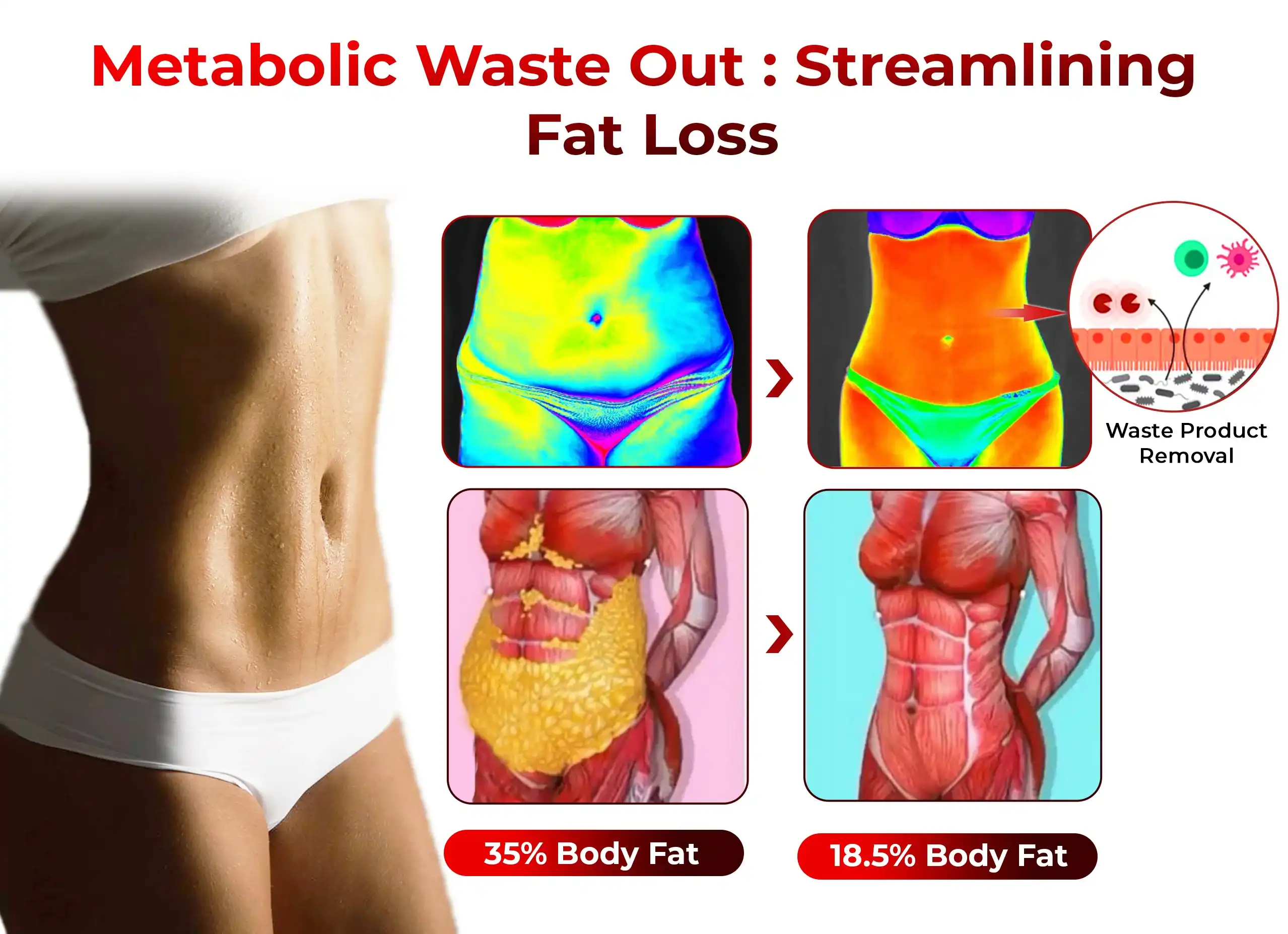 GFOUK™ Bee Venom Heat Sculpt Anti-Schwellung Crème