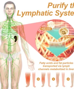 GFOUK™ BeeSlim VenomLymph Cream