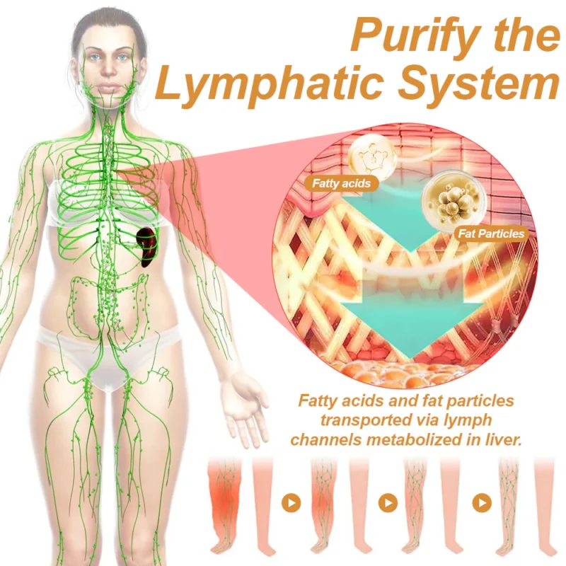 GFOUK™ BeeSlim VenomLymph Cream
