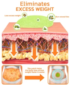 GFOUK™ LymFatTake Orange Blossom Slender Patch