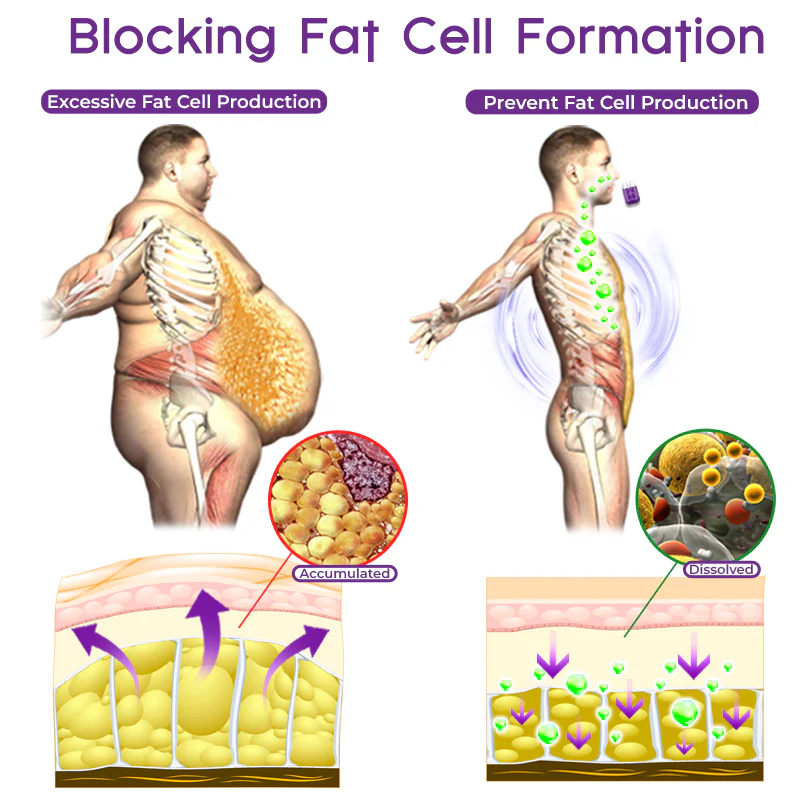 GFOUK™ NeuroSculpt Enyzme Regulation Inhaler - Image 2