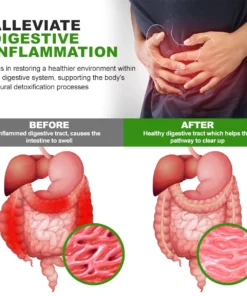 KISSHI Stomach Relief Oil