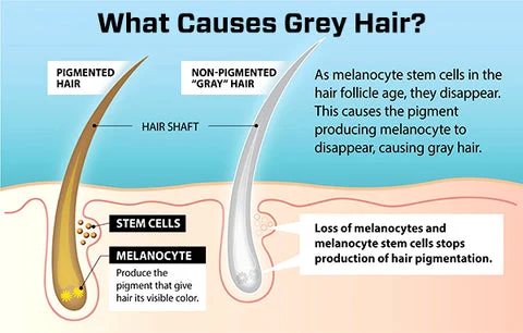 LIMETOW™ Anti-Greying Hair Serum