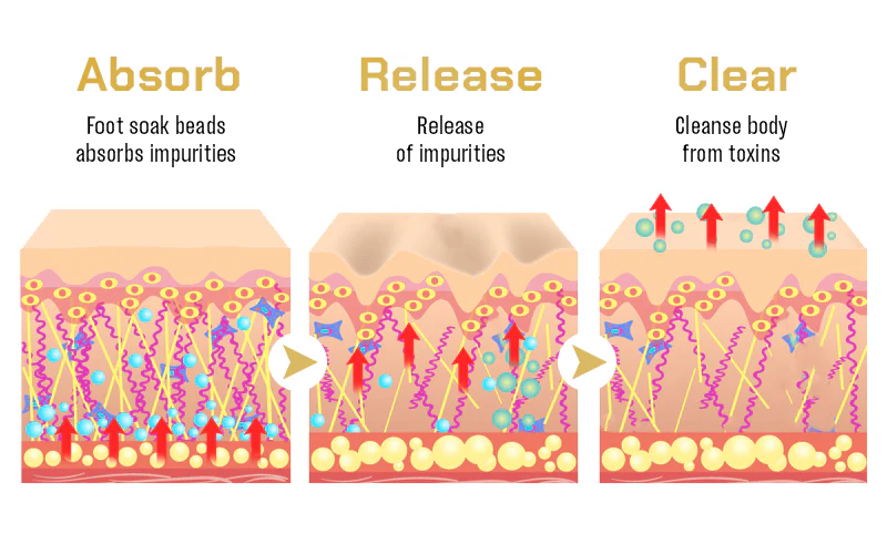 LIMETOW™ LymphTox Bee Venom Foot Soak