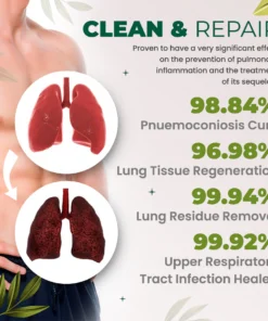 Organic Herbal Lung Cleanse Repair Patch