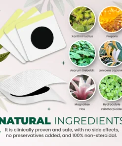 Organic Herbal Lung Cleanse Repair Patch