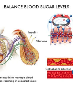 Fivfivgo™ SucrosePro Ionic Balance-Armband