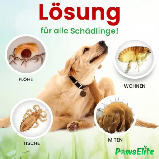 PawElite™ Floh & Zeckentropfen per Tire