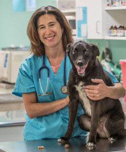 PawElite™ Floh & Zeckentropfen für Tiere