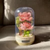 صندوق الموسيقى PetalNotes™ Serenade