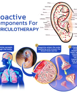 Fivfivgo™ 7-Tage Anti-Raucher-Magnet