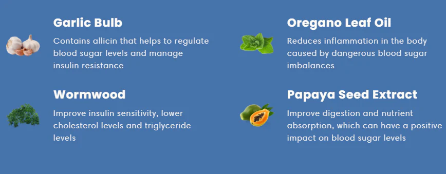 Fivfivgo™ GlucoCare Blutzuckerkontrollpflaster