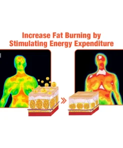 GFOUK™ HexaBurn Bee Venom Toning Spray