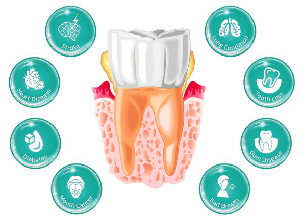 HERBAL TEETHCare Mouthwash 
