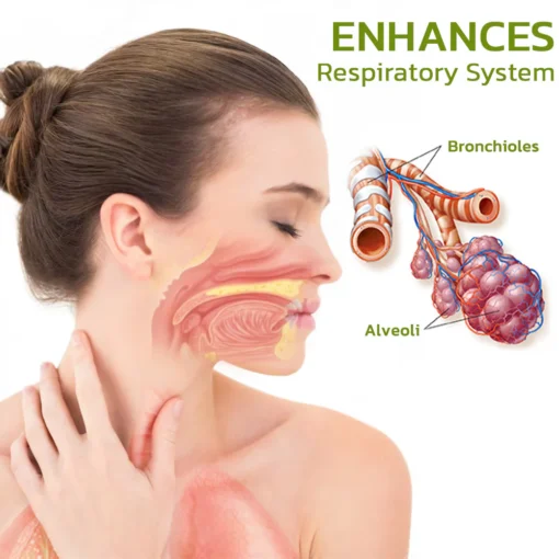 HZA™️ بخاخ تنظيف الرئة العشبي BreathDetox