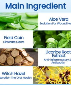 LIMETOW™ Deluxe Herbal Oral Care Mousse