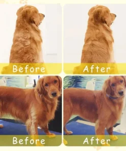 Seurico™ Patented Exclusive Rechargeable Steam Pet Brush