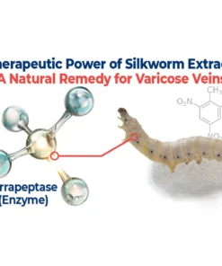 GFOUK™ VaricoX Vein Dredge Silkworm Extract Spray