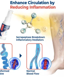 GFOUK™ VaricoX Vein Dredge Silkworm Extract Spray