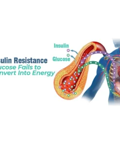 GFOUK™️ SucroseGuard Electric Pulse Balance Device