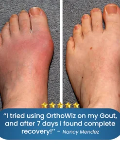 OrthoWiz™ Bone & Joint Pain Therapy Foot Brace