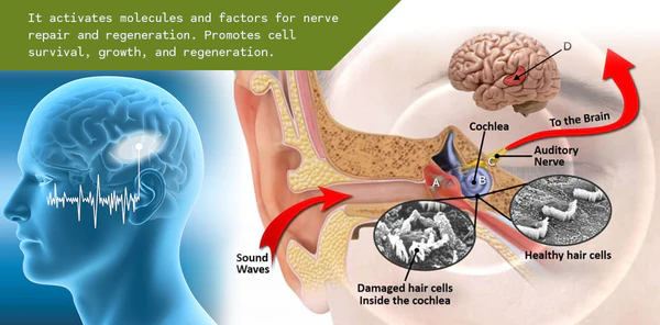 Oveallgo™ Auridrip Tinnitus Relief Spray