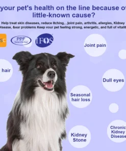 BSWELL® FISH OIL & PET HONEY SOFT CAPSULE