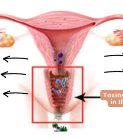 Diapason® Bee Venom Feminine Repair Tighten Detox Yoni Capsules34