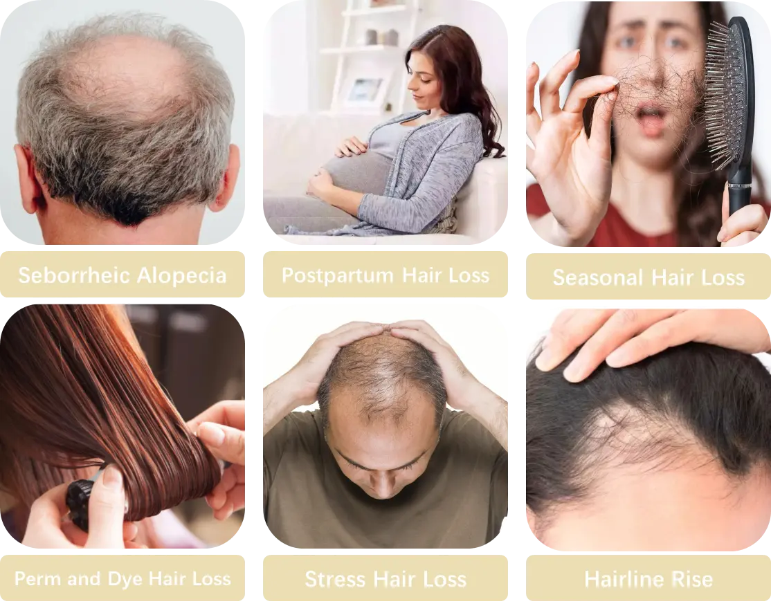 Oli condicionant i regenerador del cabell de romaní Dobshow™