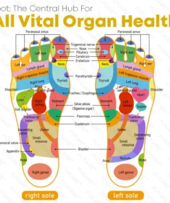 FLYCARE™ Bee Venom Varicosities Healing Pads