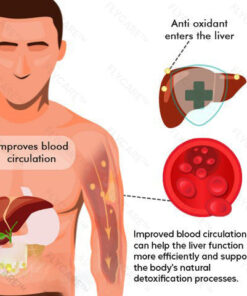FLYCARE™ Herbal Liver Cleansing Spray