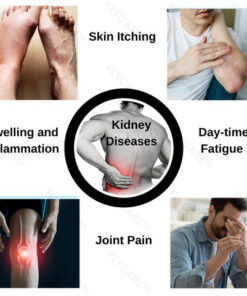 FLYCARE™ Kidney Care Patch