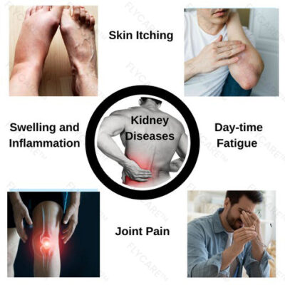 FLYCARE™ Kidney Care Patch