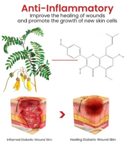Flycare™ Fast Healing Diabetic Wound Ointment