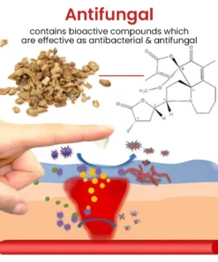 Flycare™ Fast Healing Diabetic Wound Ointment