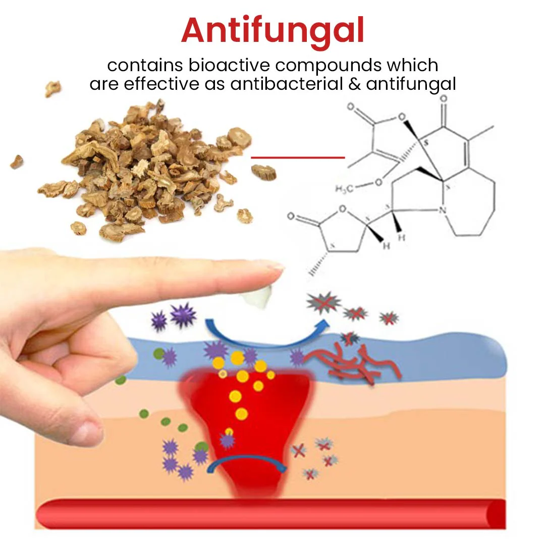 Flycare™ Fast Healing Diabetic Wound Ointment