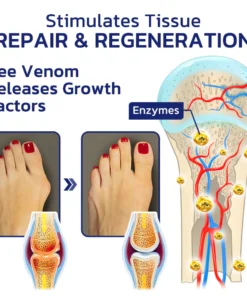 GFOUK™ Beeliefe Bee Venom Joint And Bone Therapy Cream