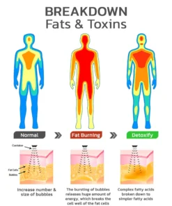 GFOUK™ Carlvins Magnetique Lvmphvity Detoxing Bracelet