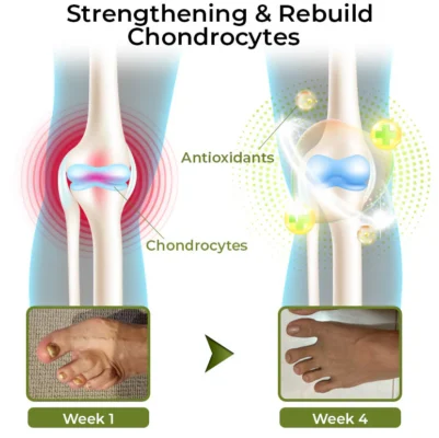 GFOUK™ CroCare Crocodile Oil Joint Therapy Balm